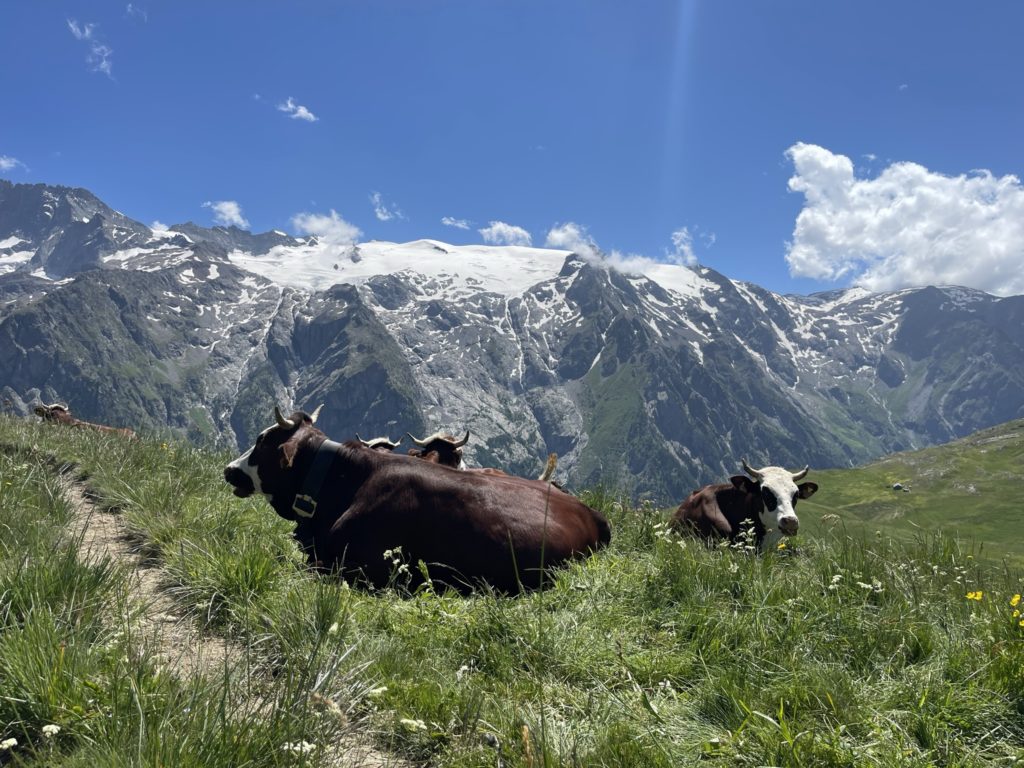 Plateau d'Emparis